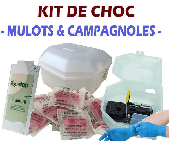 Kit traitement professionnel RONGEUR rats-mulots-campagnols-loirs