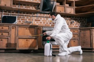 Lire la suite à propos de l’article Quelle est la différence entre un désinfectant et un insecticide ?
